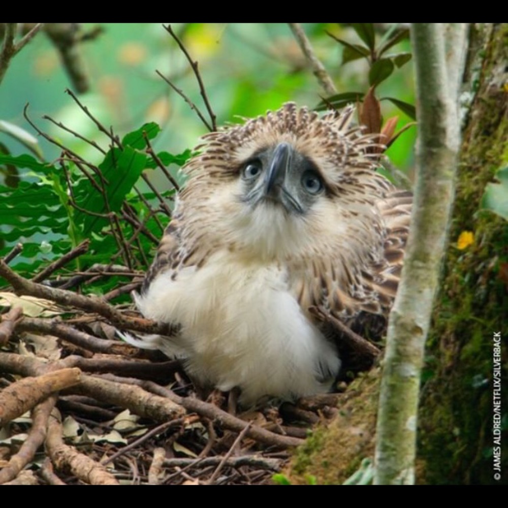 Hi there 🙋🏻‍♀️ - Picture 1 of 1